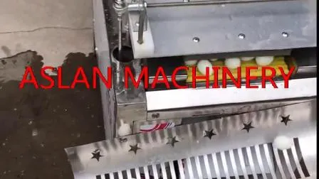 Macchina per sbucciare le uova di quaglia sode +86 17335571519