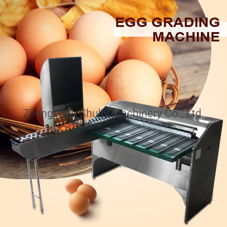 High Quality Egg Grader Egg Grading Machine Egg Sorting Machine