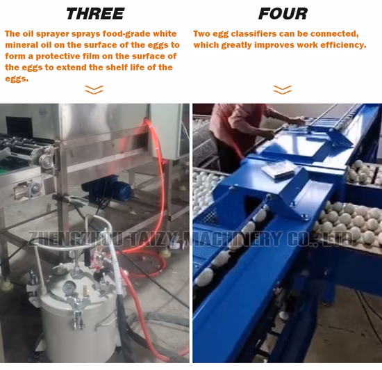 Macchina automatica per spruzzare olio di candela per il lavaggio delle uova con spazzole, linea di lavorazione delle uova