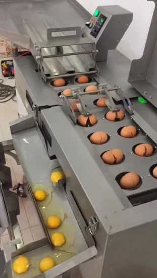 Linea di produzione personalizzata a caldo Macchina per proteine ​​del tuorlo d'uovo e separatore di liquidi