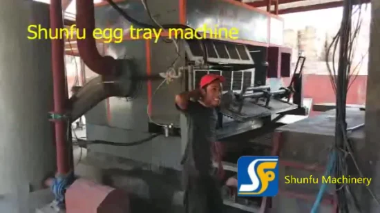 Macchina per la produzione di bucce di frutta di carta/macchina per la produzione di gusci d'uovo con pompa ad alto rendimento