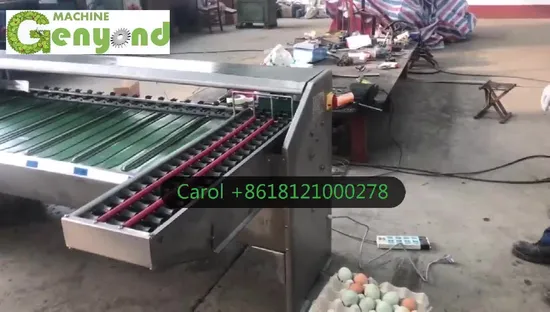 Linea di lavorazione per la selezione delle uova di alta qualità (AZ-07)
