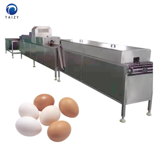 Lavatrice per uova di pollame in acciaio inossidabile, pulitore, macchina per pulire uova di gallina, lavatrice per uova di gallina