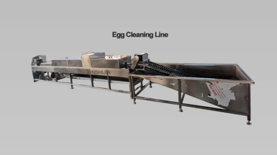 Linea di produzione automatica multifunzionale in acciaio inossidabile per pollame, pollo, anatra salata, lavaggio, pulizia, lavorazione